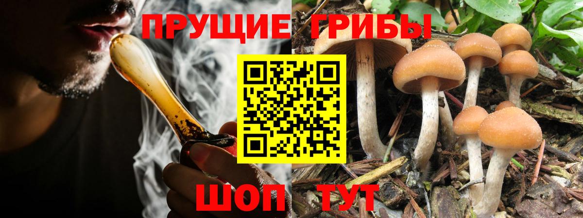 Псилоцибиновые грибы мицелий  Вход с VPN  Феодосия 